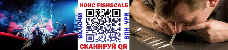 Кокаин Эквадор  MEGA зеркало  Отрадная 