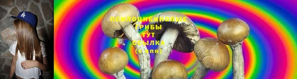 гидропоника Баксан