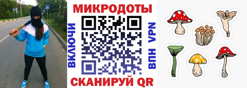 KRAKEN Отрадная Галлюциногенные грибы GOLDEN TEACHER закладка